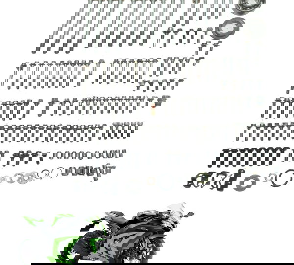 Kit Parafuso Motor Kawasaki Ninja Zx 10r 10-15 Original