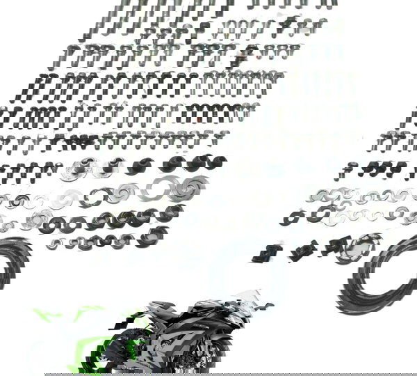 Kit Parafusos Diversos Kawasaki Ninja Zx 10r 10-15 Original