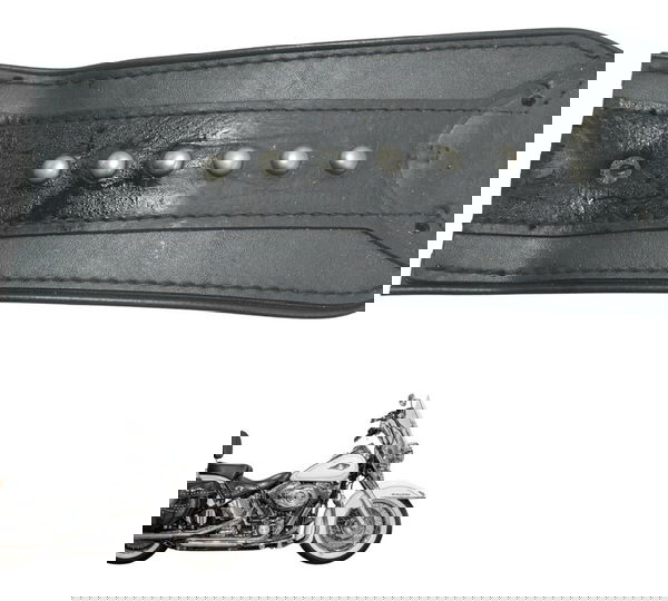 Acabamento Tanque Harley Softail Heritage 12-15 Original