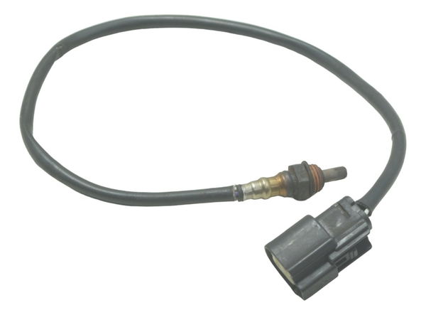 Sonda Lambda Harley Softail Heritage 12-15 Original