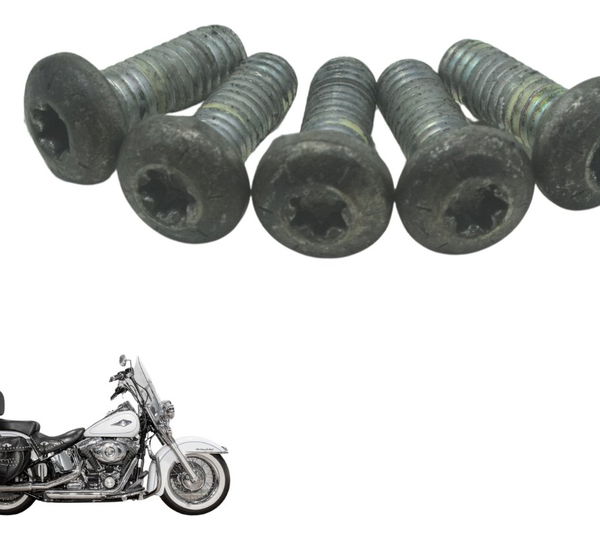 Kit Parafusos Disco Freio Tras Harley Softail Heritage 12-15