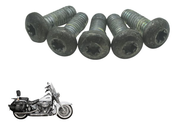 Kit Parafusos Disco Freio Tras Harley Softail Heritage 12-15