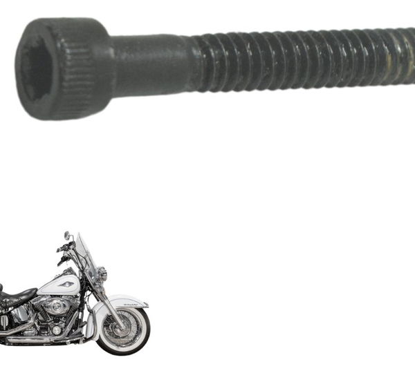 Parafuso Estator Harley Softail Heritage 12-15 Original