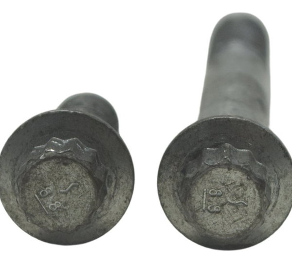 Par Parafuso Pinça Diant Harley Softail Heritage 12-15 Orig