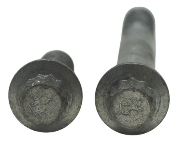 Par Parafuso Pinça Diant Harley Softail Heritage 12-15 Orig