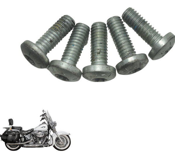 Kit Parafuso Disco Freio Diant Harley Softail Heritage 12-15