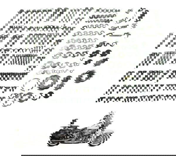 Kit Parafusos Diversos Harley Softail Heritage 12-15 Orig