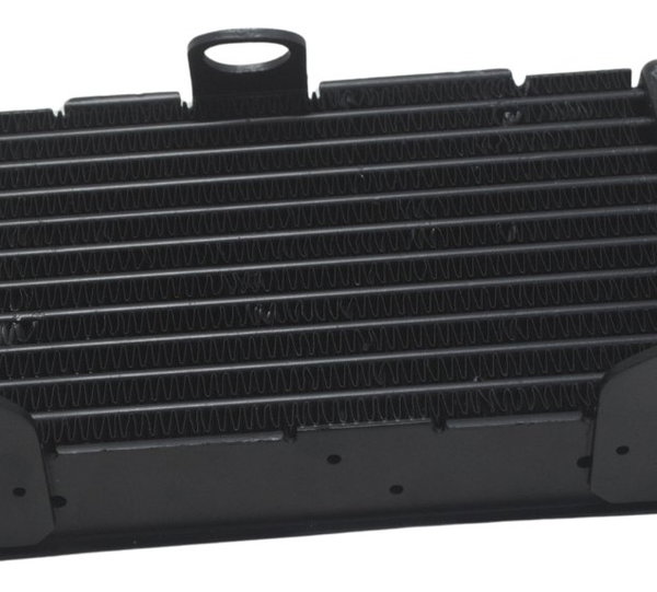 Radiador Óleo Ducati Multistrada 1200 10-14 Original