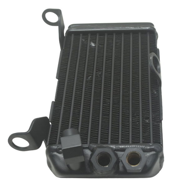 Radiador Óleo Ducati Multistrada 1200 10-14 Original