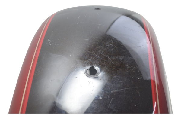 Paralama Traseiro Harley Xl 1200c 11-13 Original