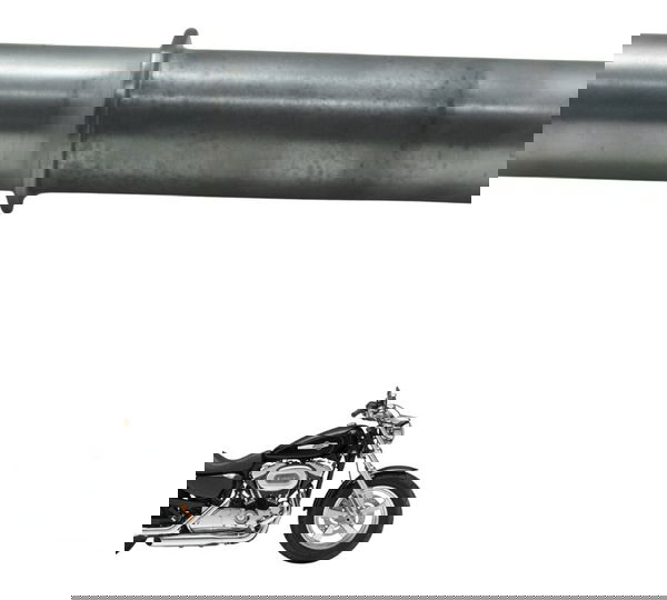 Eixo Suporte Motor Harley Xl 1200c 11-13 Original