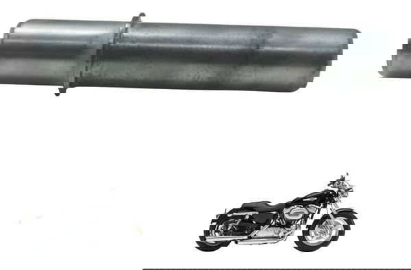 Eixo Suporte Motor Harley Xl 1200c 11-13 Original