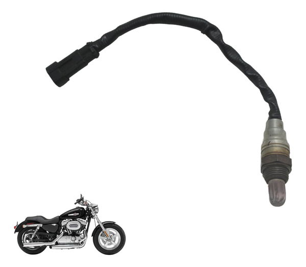Sonda Lambda Harley Xl 1200c 11-13 Original
