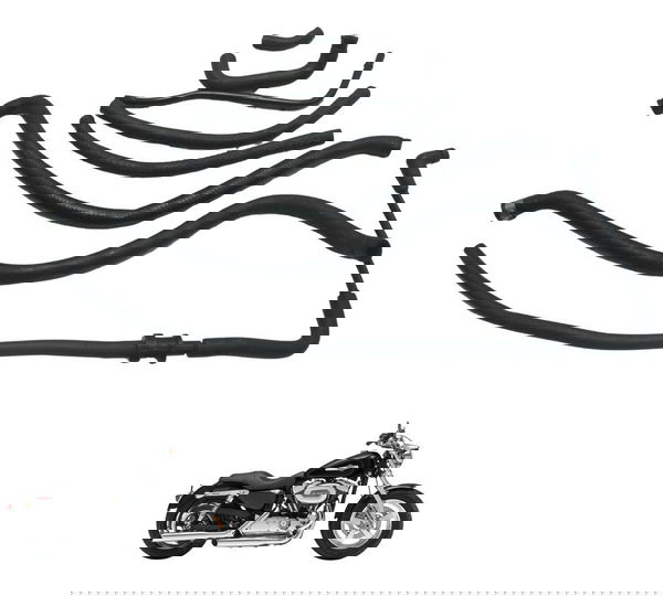 Kit Mangueiras Harley Xl 1200c 11-13 Original