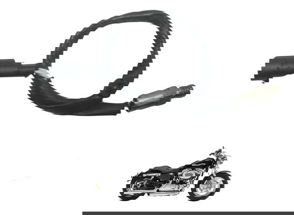 Sensor Temperatura Cabeçote Harley Xl 1200c 11-13 Original