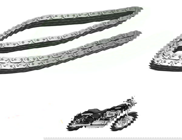 Corrente Primaria Harley Xl 1200c 11-13 Original