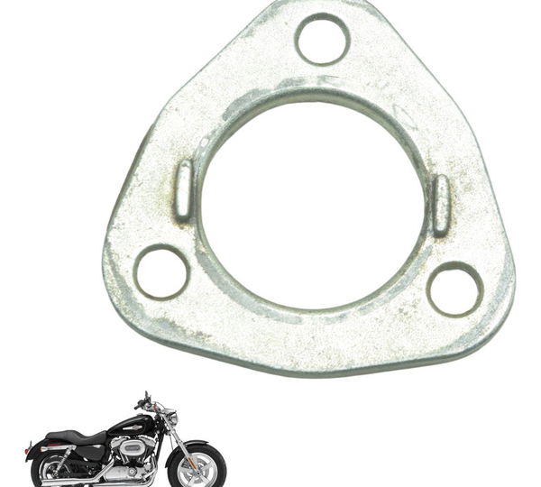Flange Suporte Motor Harley Xl 1200c 11-13 Original