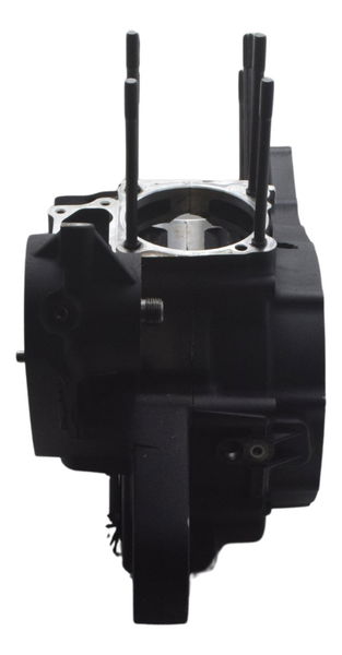 Carcaça Bloco Motor Nfe Baixa Harley Xl 1200c 11-13 Original