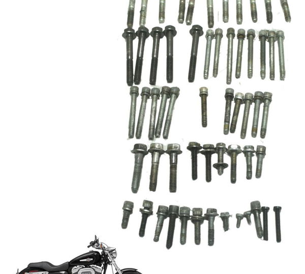 Kit Parafusos Motor Harley Xl 1200c 11-13 Original