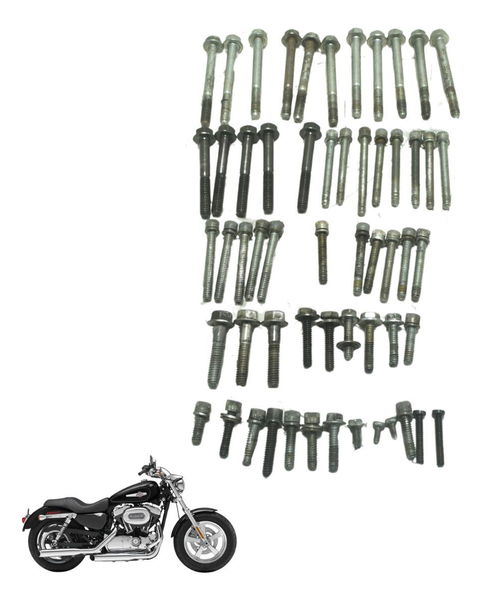 Kit Parafusos Motor Harley Xl 1200c 11-13 Original