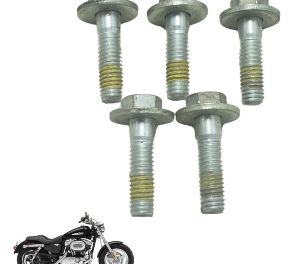 Kit Parafuso Polia Harley Xl 1200c 11-13 Original