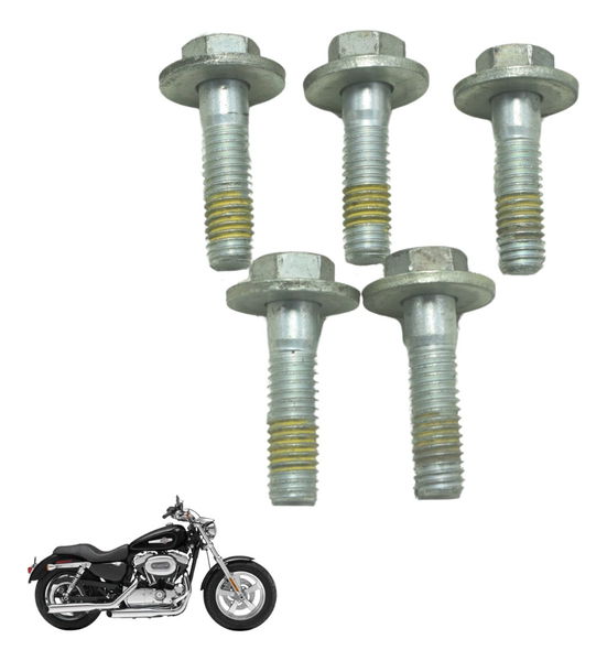 Kit Parafuso Polia Harley Xl 1200c 11-13 Original