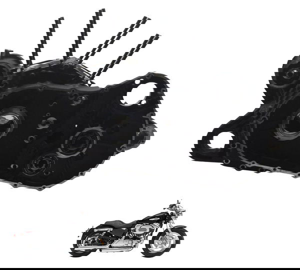 Carcaça Bloco Motor Nfe Baixa Harley Xl 1200c 11-13 Original