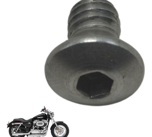 Parafuso Tampa Caixa Filtro Ar Harley Xl 1200c 11-13 Orig