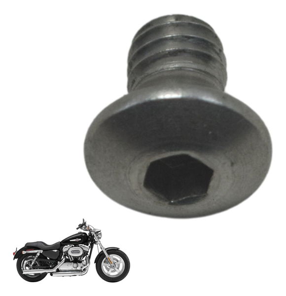 Parafuso Tampa Caixa Filtro Ar Harley Xl 1200c 11-13 Orig