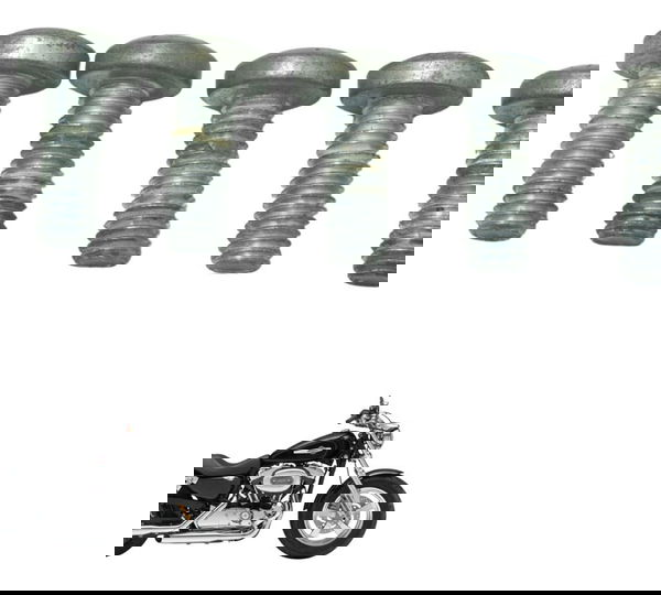 Kit Parafuso Freio Traseiro Harley Xl 1200c 11-13 Original