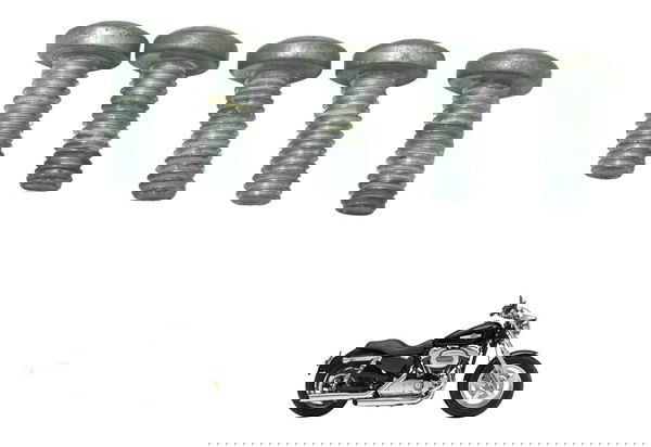 Kit Parafuso Freio Traseiro Harley Xl 1200c 11-13 Original