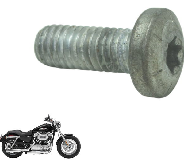 Parafuso Freio Traseiro Harley Xl 1200c 11-13 Original