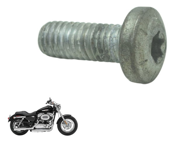 Parafuso Freio Traseiro Harley Xl 1200c 11-13 Original