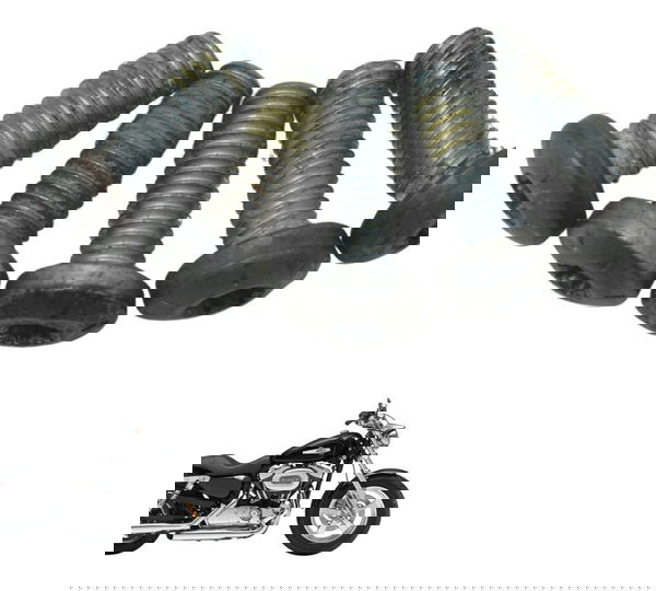 Kit Parafuso Freio Dianteiro Harley Xl 1200c 11-13 Original