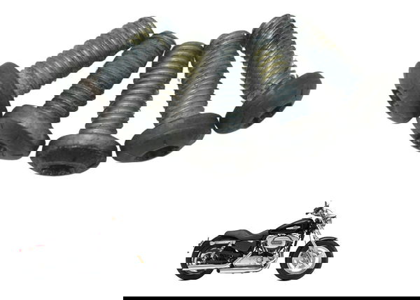 Kit Parafuso Freio Dianteiro Harley Xl 1200c 11-13 Original