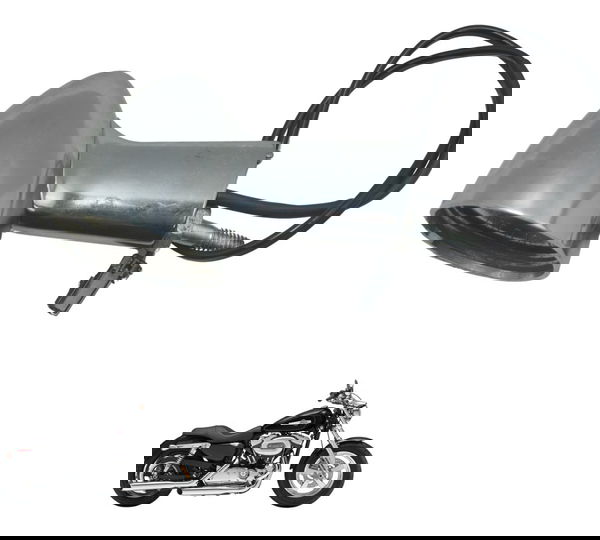 Pisca Traseiro S/ Lente C/ Detalh Harley Xl 1200c 11-13 Orig