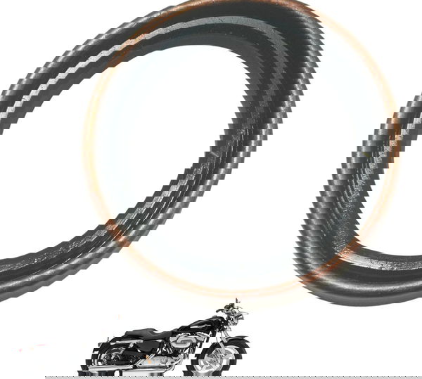 Retentor Virabrequim Harley Xl 1200c 11-13 Original