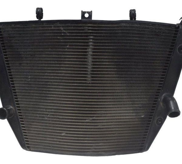 Radiador C/ Detalhes Suzuki Gsx-r Srad 1000 11-16 Original