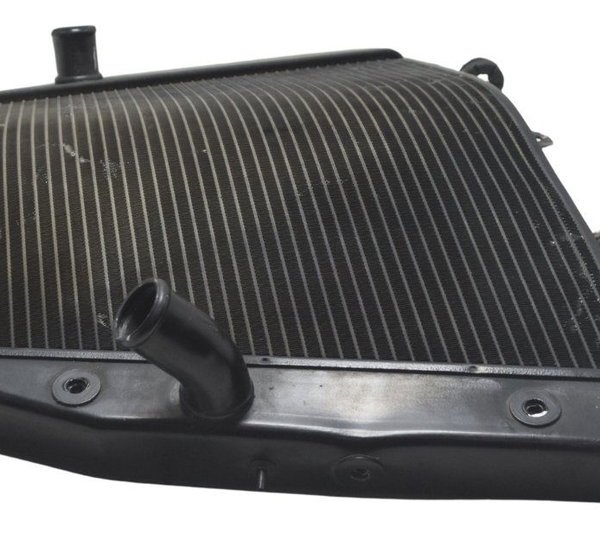 Radiador C/ Detalhes Suzuki Gsx-r Srad 1000 11-16 Original