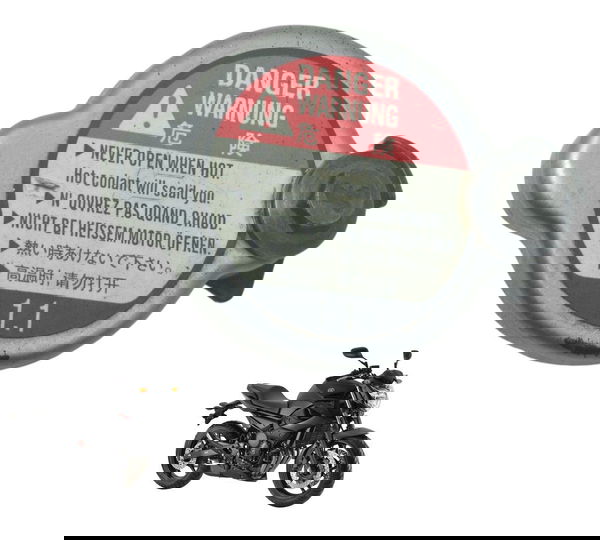 Tampa Radiador Yamaha Xj6 N 10-12