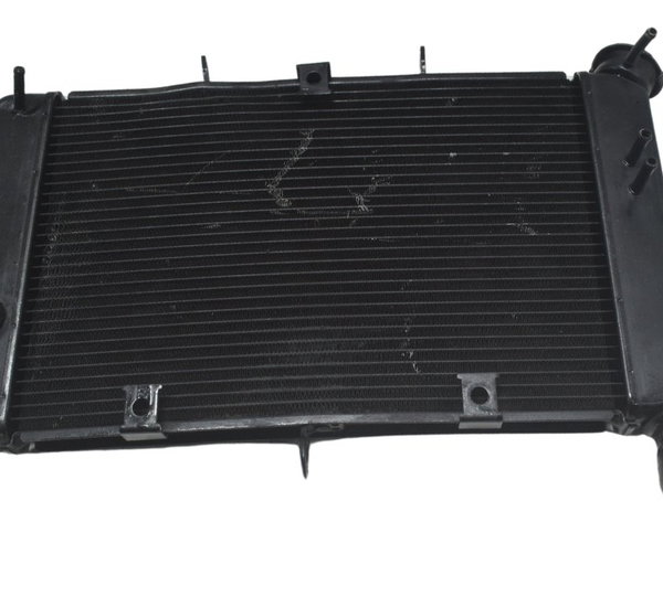 Radiador C/ Avaria Yamaha Xj6 N 10-12 Original
