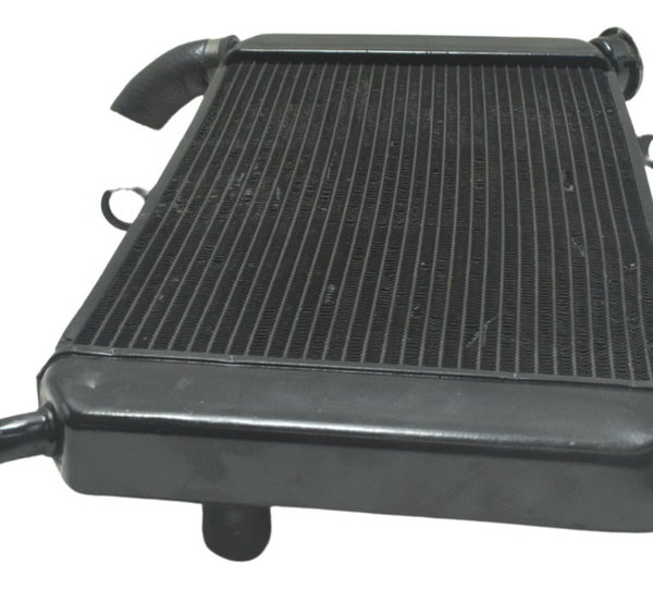 Radiador C/ Avaria Yamaha Xj6 N 10-12 Original