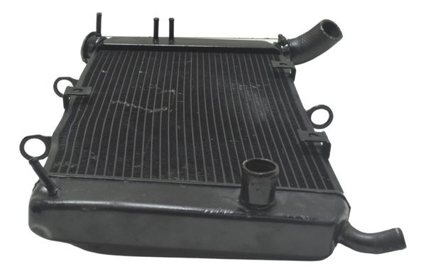 Radiador C/ Avaria Yamaha Xj6 N 10-12 Original