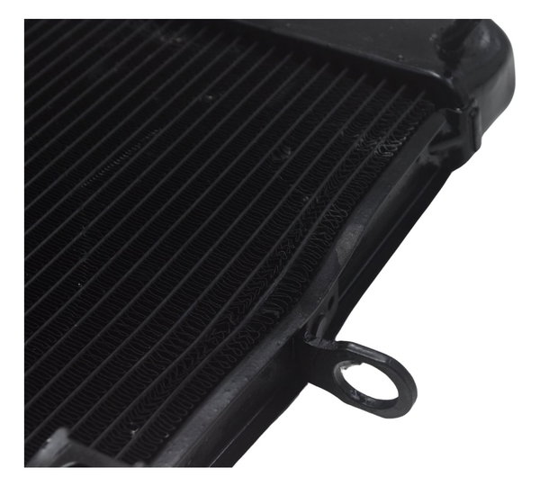 Radiador C/ Avaria Yamaha Xj6 N 10-12 Original