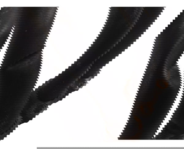 Escapamento C/ Avaria Esportivo Jeskap Yamaha Xj6 N 10-12