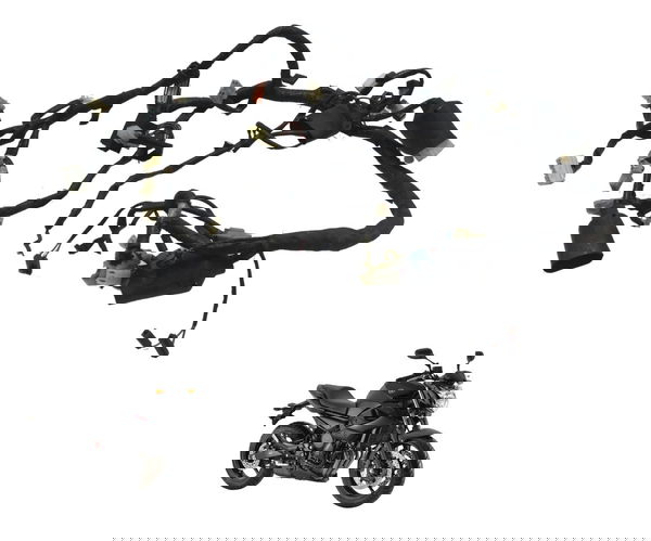 Chicote Principal C/ Avaria Yamaha Xj6 N 10-12 Original