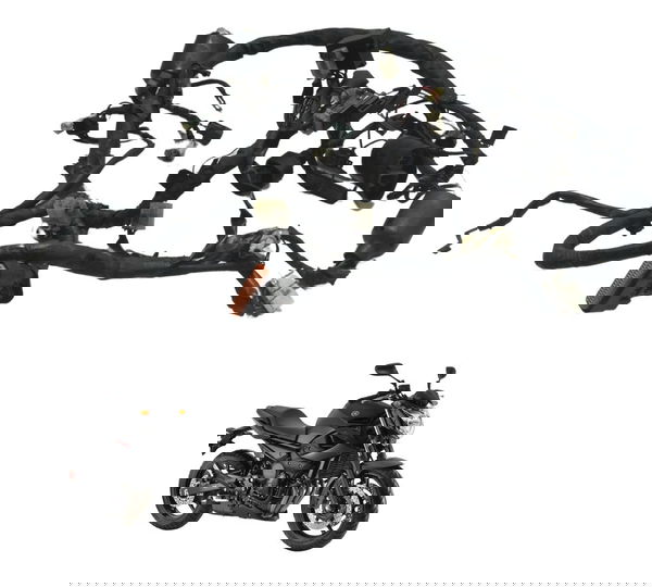 Chicote Principal C/ Avaria Yamaha Xj6 N 10-12 Original