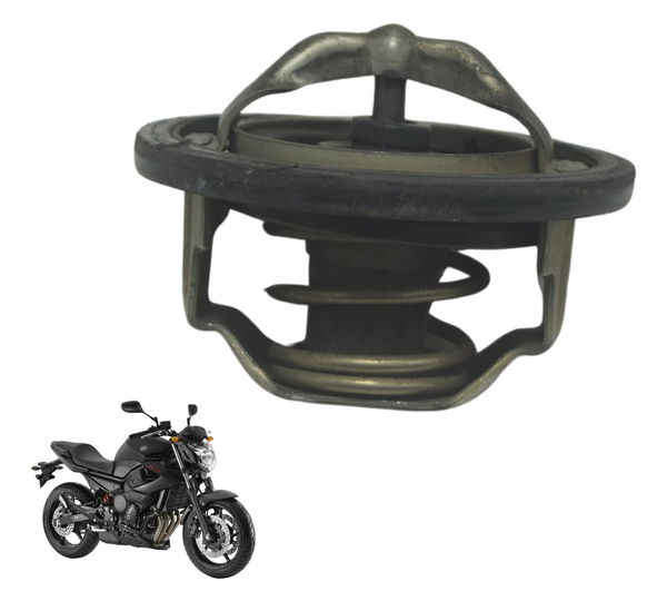 Válvula Termostática Yamaha Xj6 N 10-12 Original