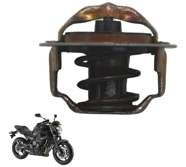 Válvula Termostática Yamaha Xj6 N 10-12 Original