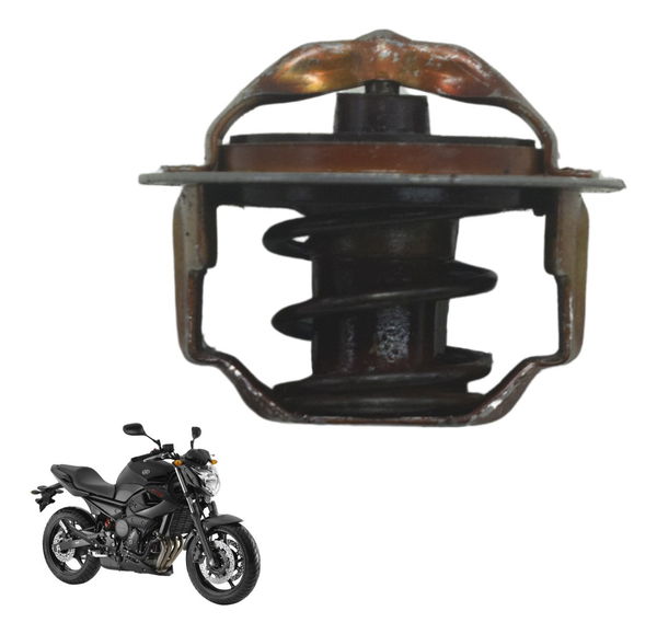 Válvula Termostática Yamaha Xj6 N 10-12 Original